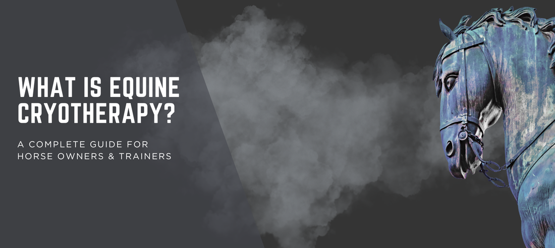 What is Equine Cryotherapy? A Complete Guide for Horse Owners & Trainers