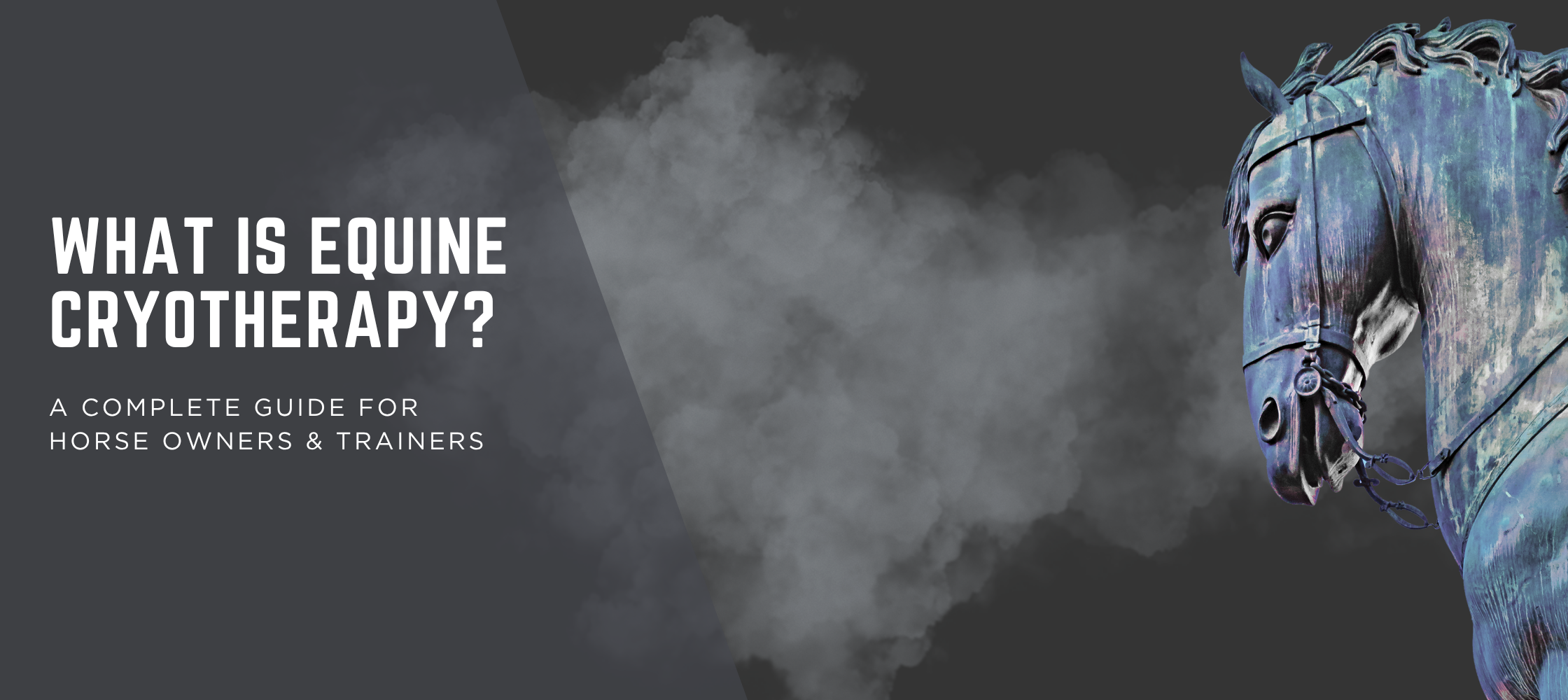 What is Equine Cryotherapy? A Complete Guide for Horse Owners & Trainers