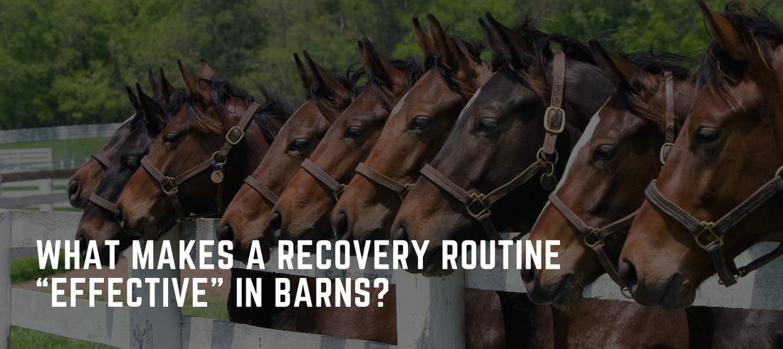 What Makes a Recovery Routine “Effective” in Barns?