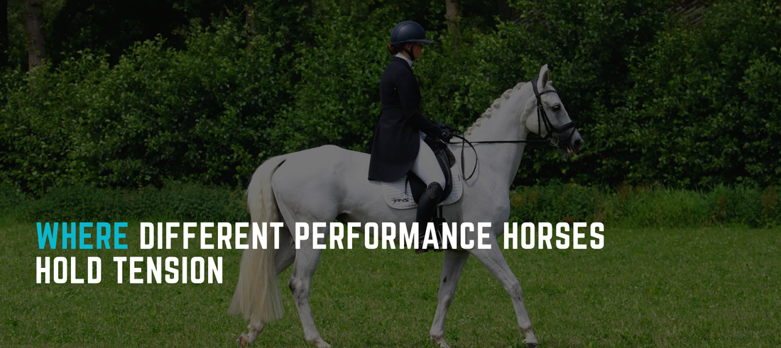 Where Different Performance Horses Hold Tension