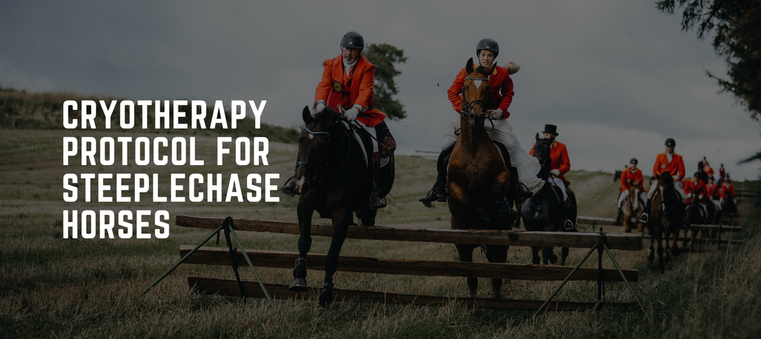 Cryotherapy Protocol for Steeplechase Horses