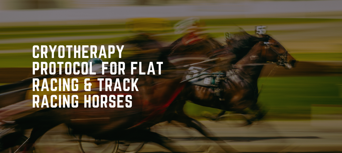 Cryotherapy Protocol for Flat Racing & Track Racing Horses