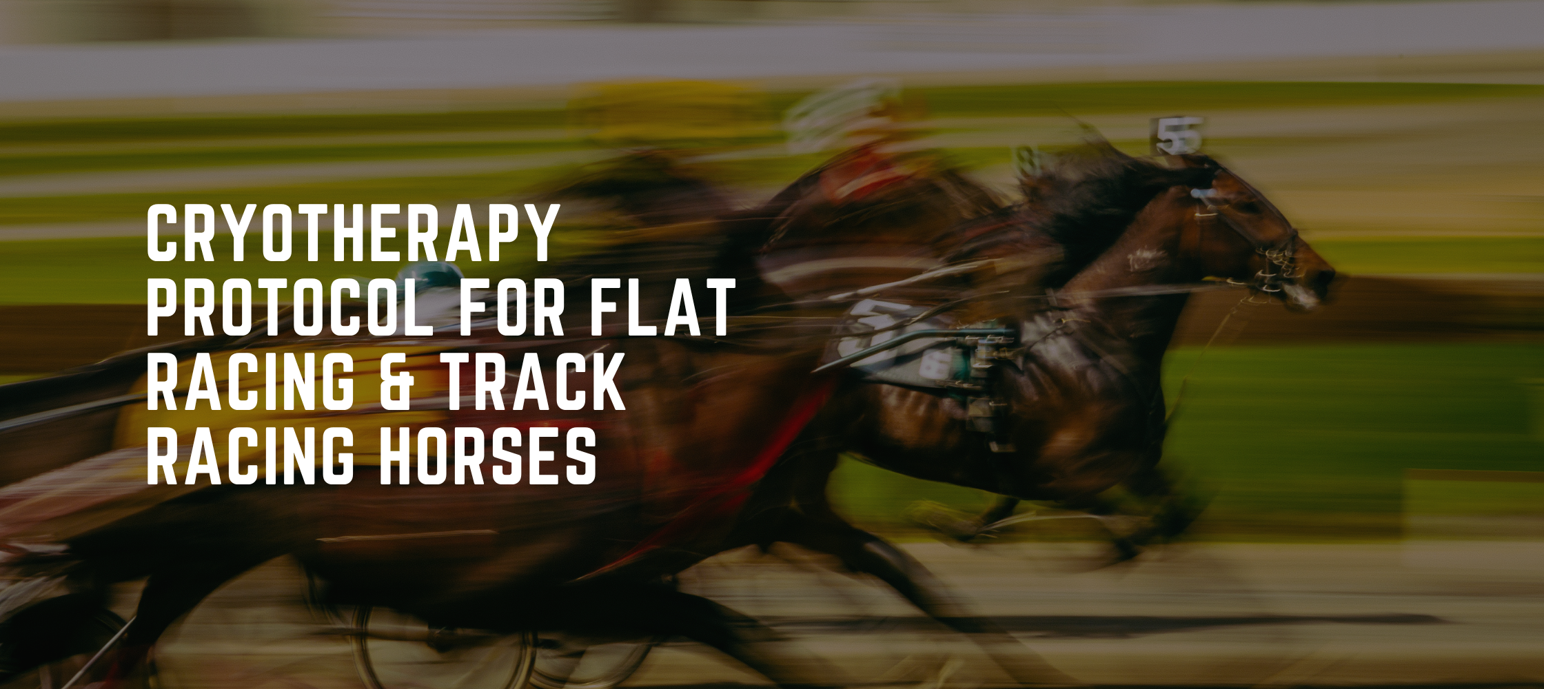 Cryotherapy Protocol for Flat Racing & Track Racing Horses